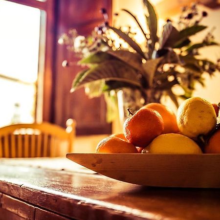 Casadarte Apartment Орвието Екстериор снимка